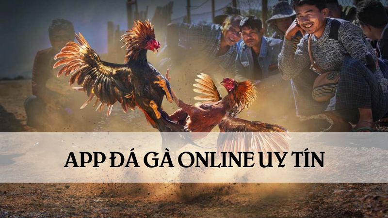 app đá gà online game uy tín