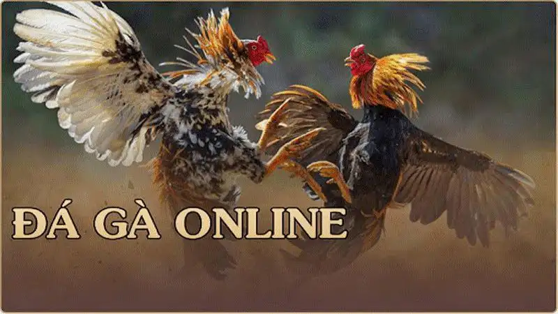 Hướng dẫn cách bắt đầu chơi game đá gà online